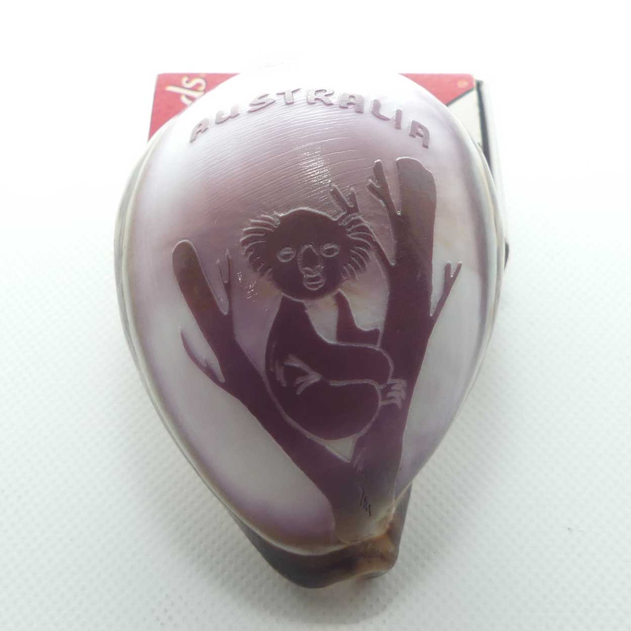 Pair of Australian motif carved Shells | Koala and Emu