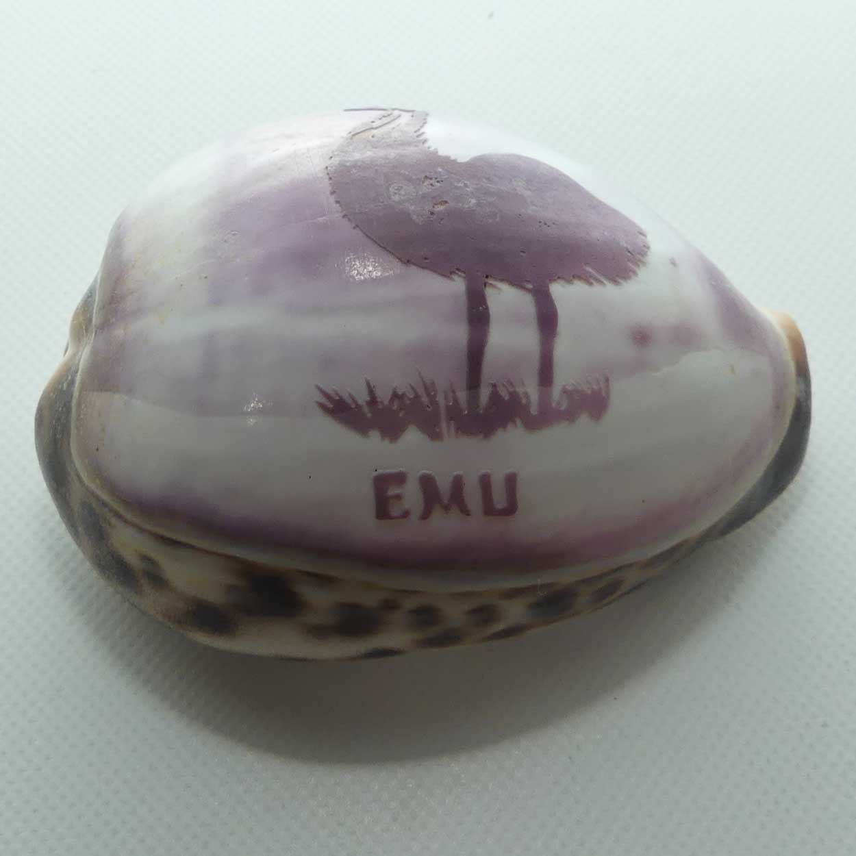 Pair of Australian motif carved Shells | Koala and Emu
