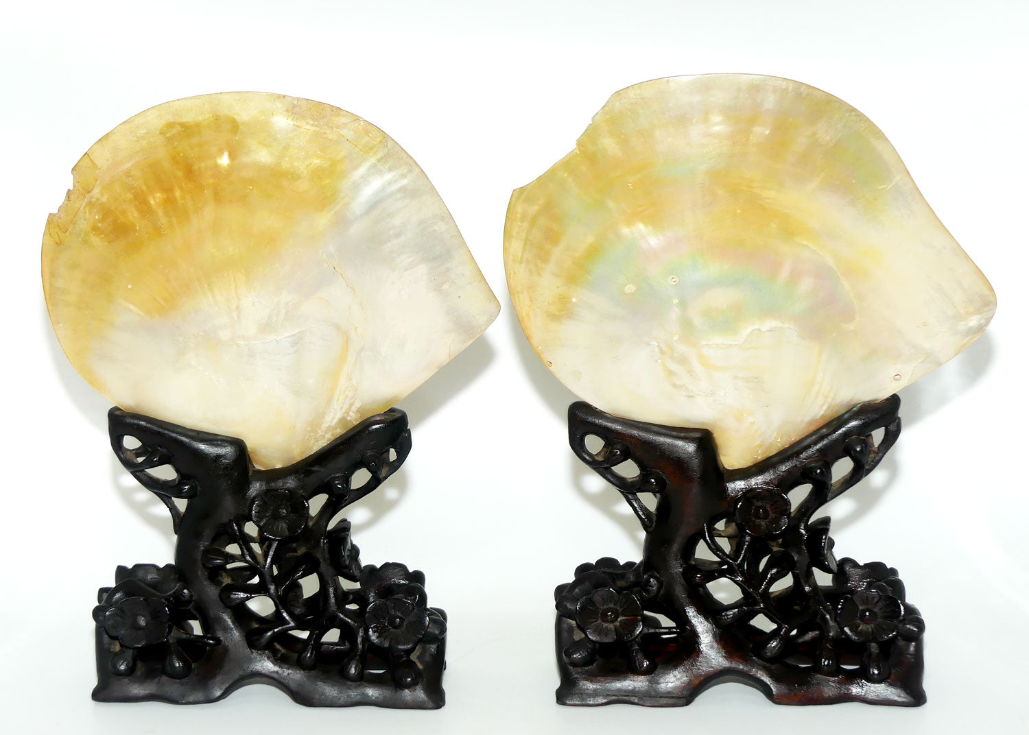 Pair of Carved Mother of Pearl Shells on Carved Rosewood Stands