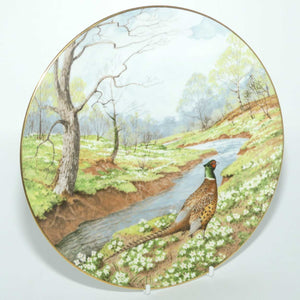 Royal Doulton picture plate by Elizabeth Gray | Waterside series | The Pheasant