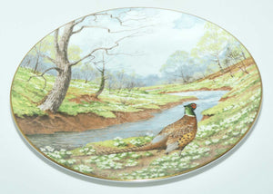 Royal Doulton picture plate by Elizabeth Gray | Waterside series | The Pheasant