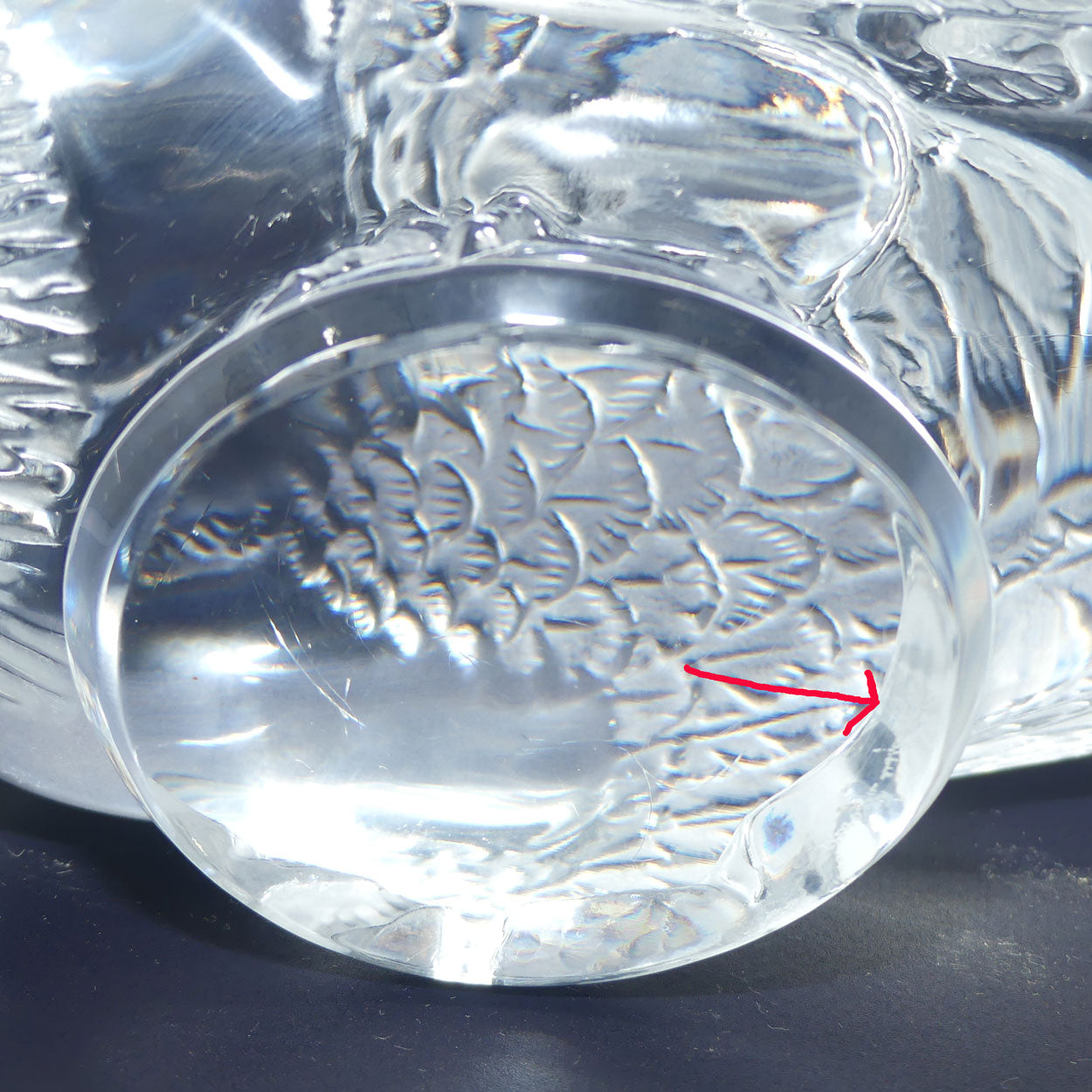 Lalique France Life size Pigeon figure | Pigeon Verviers