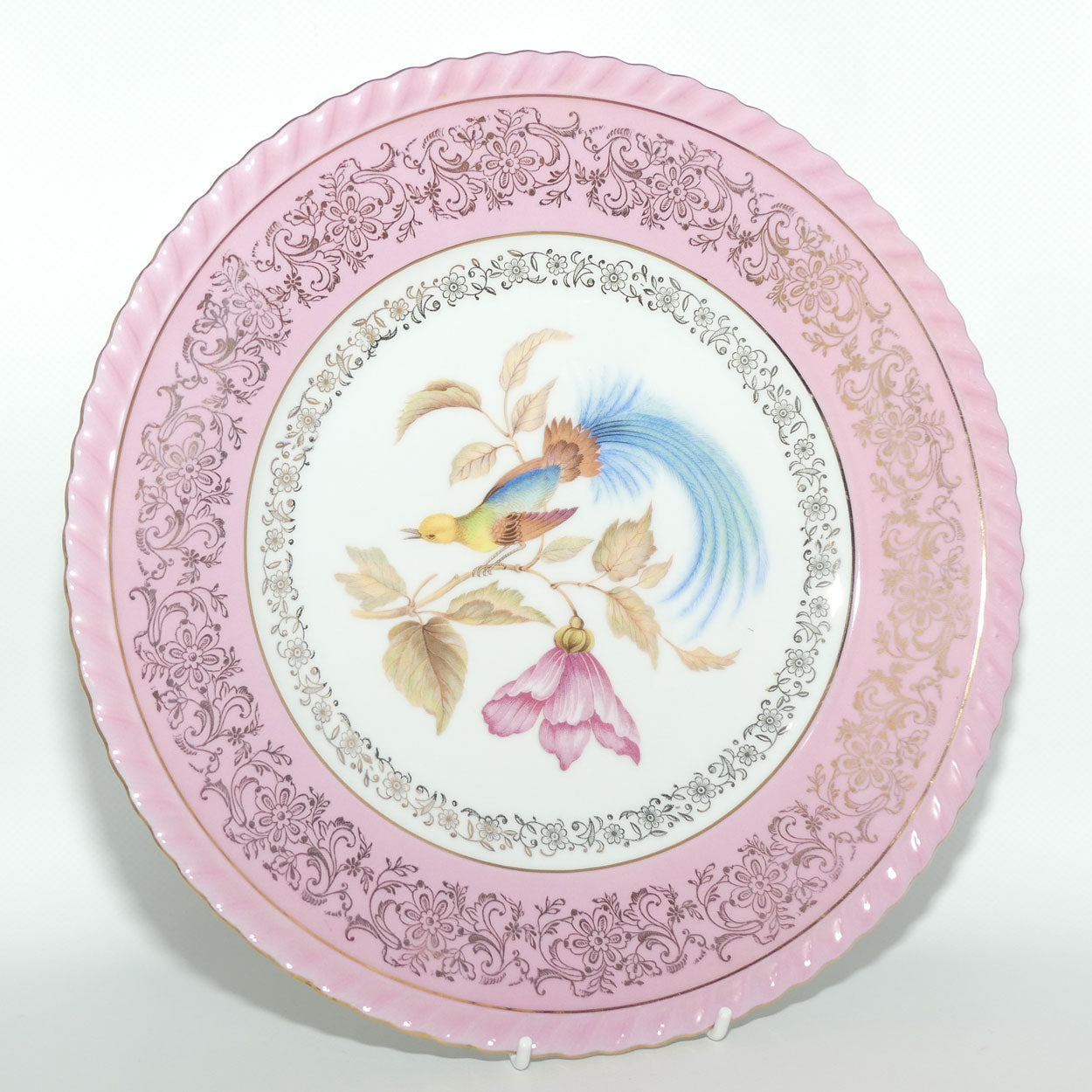 PM & M Porzellanmalerei Parbus Bavaria fine Bird of Paradise plate