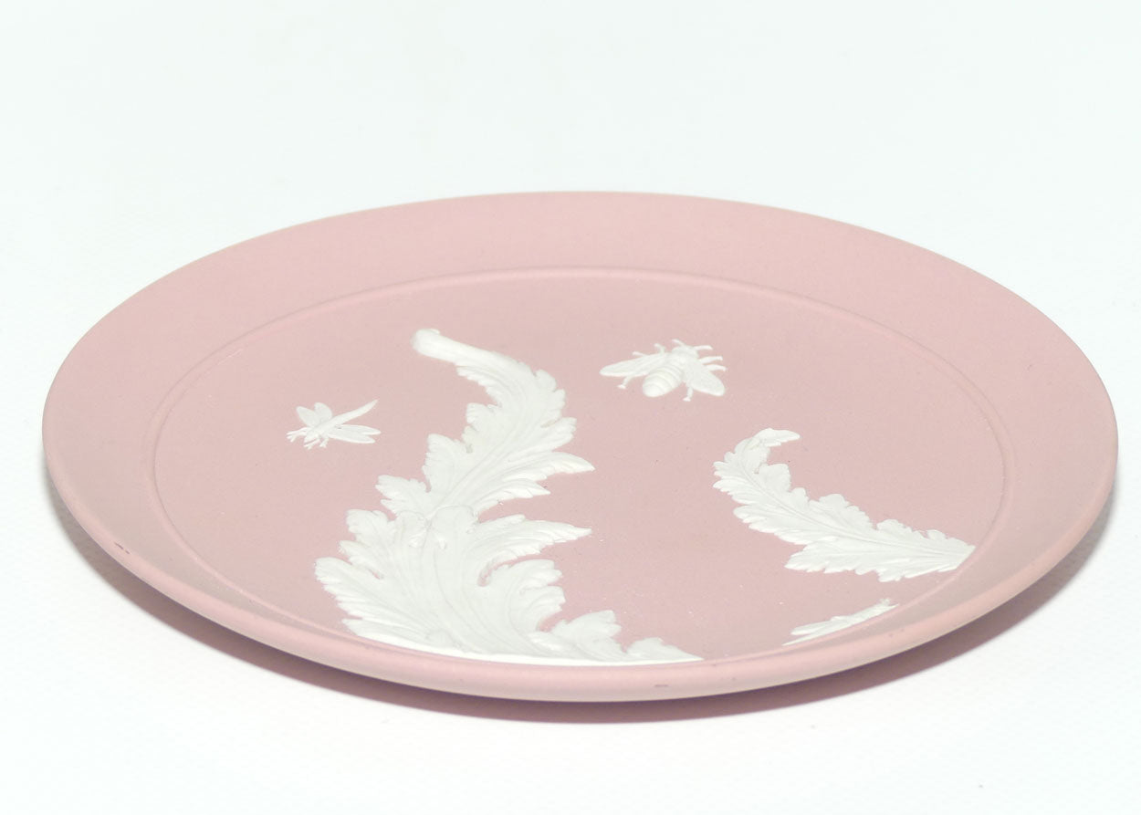 Wedgwood Jasper | White on Pink | Insects and Foliage plate | 16.5cm