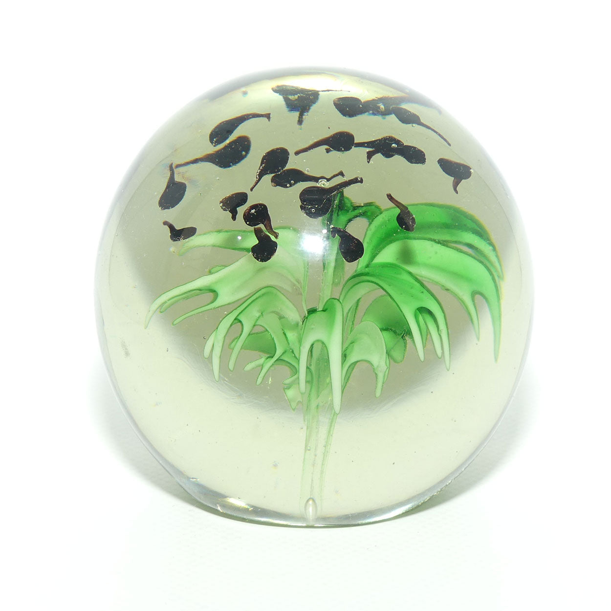 Large desktop paperweight | Tadpoles and Plant