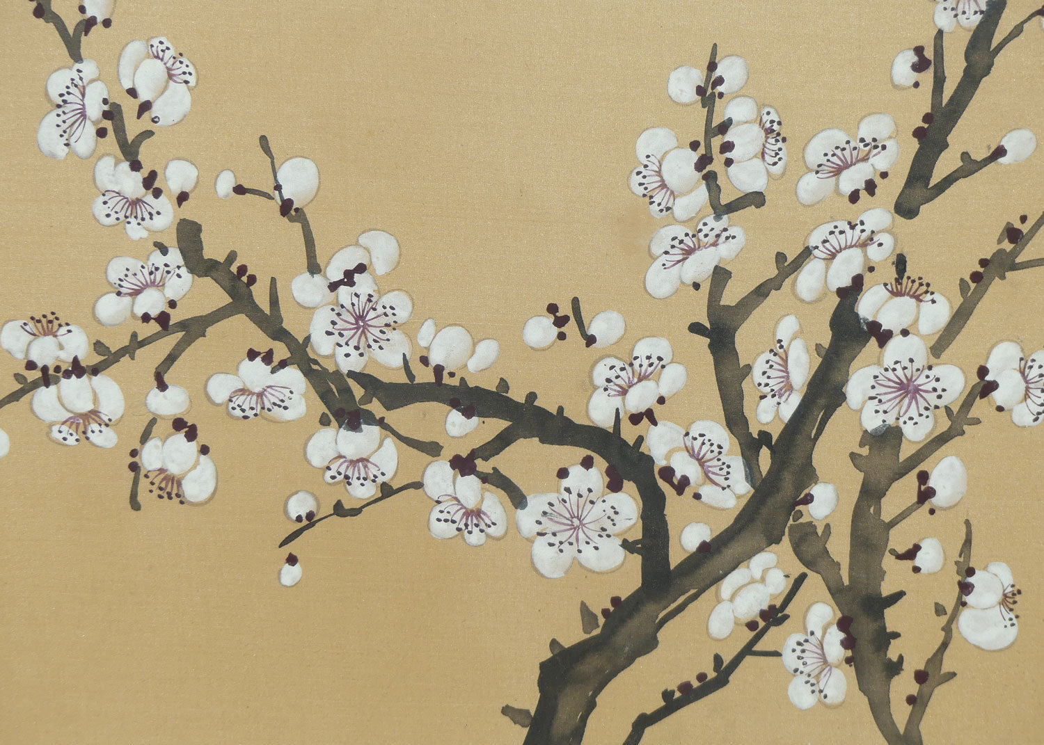 Framed Painting on Silk | Traditional Chinese Ink and Wash painting featuring White Plum Blossoms