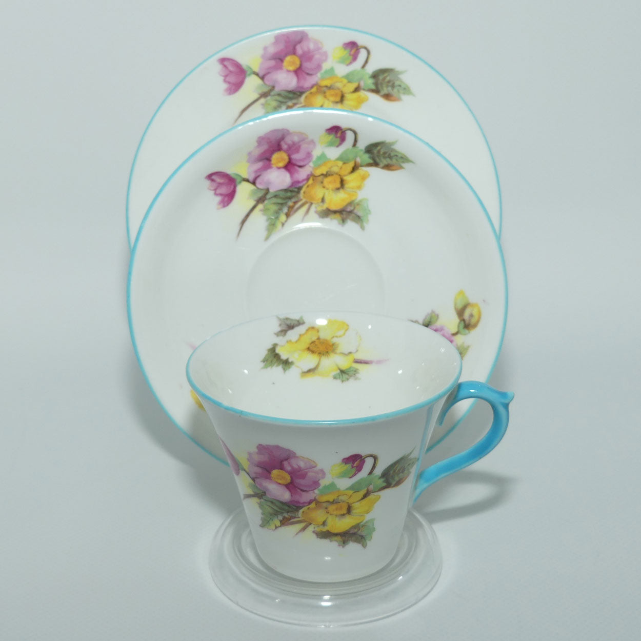 Shelley New Regent shape Begonia trio | 13427