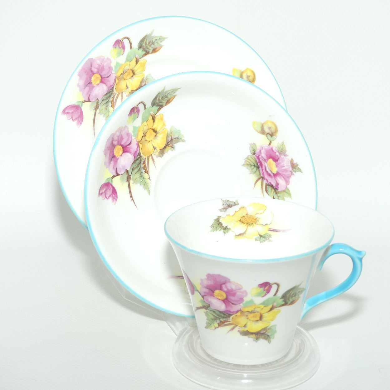 Shelley New Regent shape Begonia trio | 13427