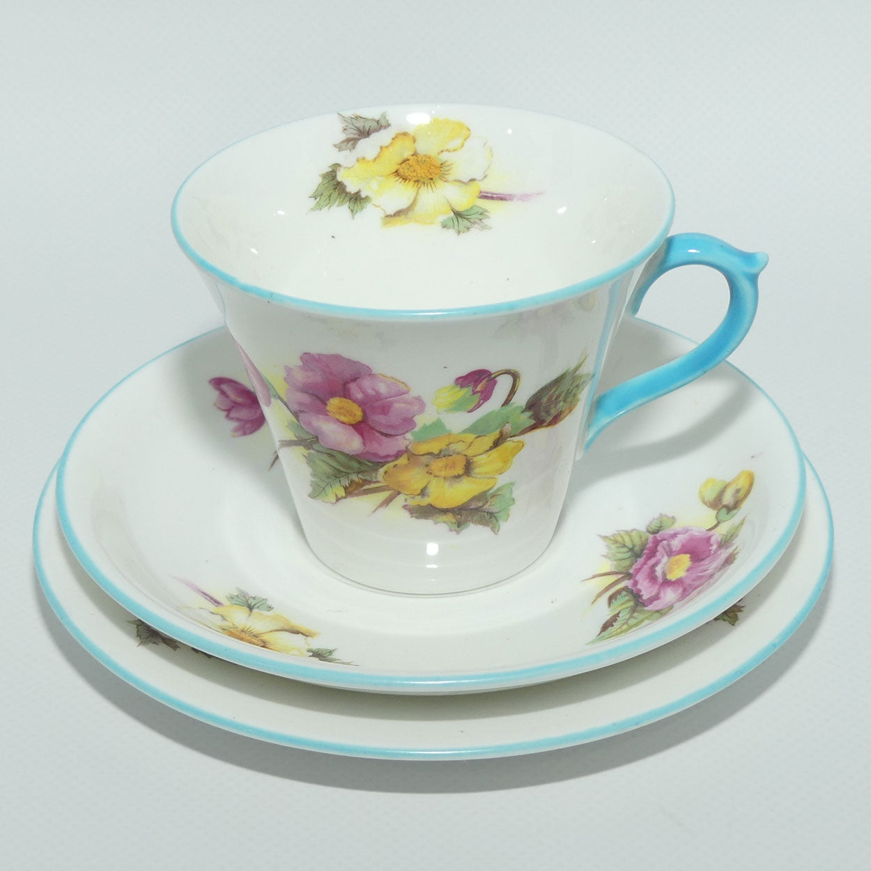 Shelley New Regent shape Begonia trio | 13427