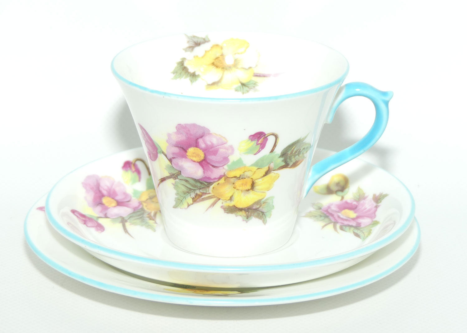 Shelley New Regent shape Begonia trio | 13427
