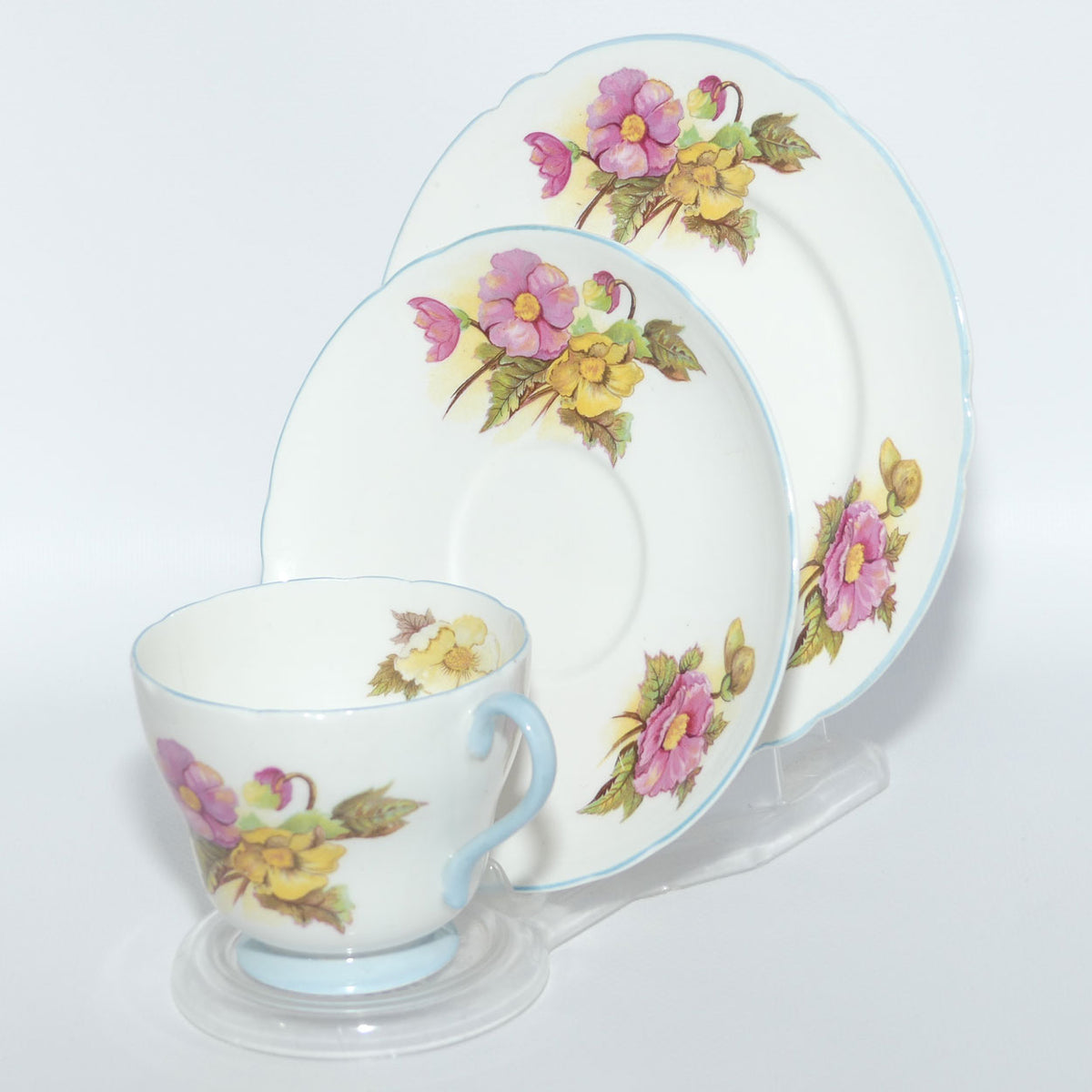 Shelley Richmond Shape Begonia pattern trio
