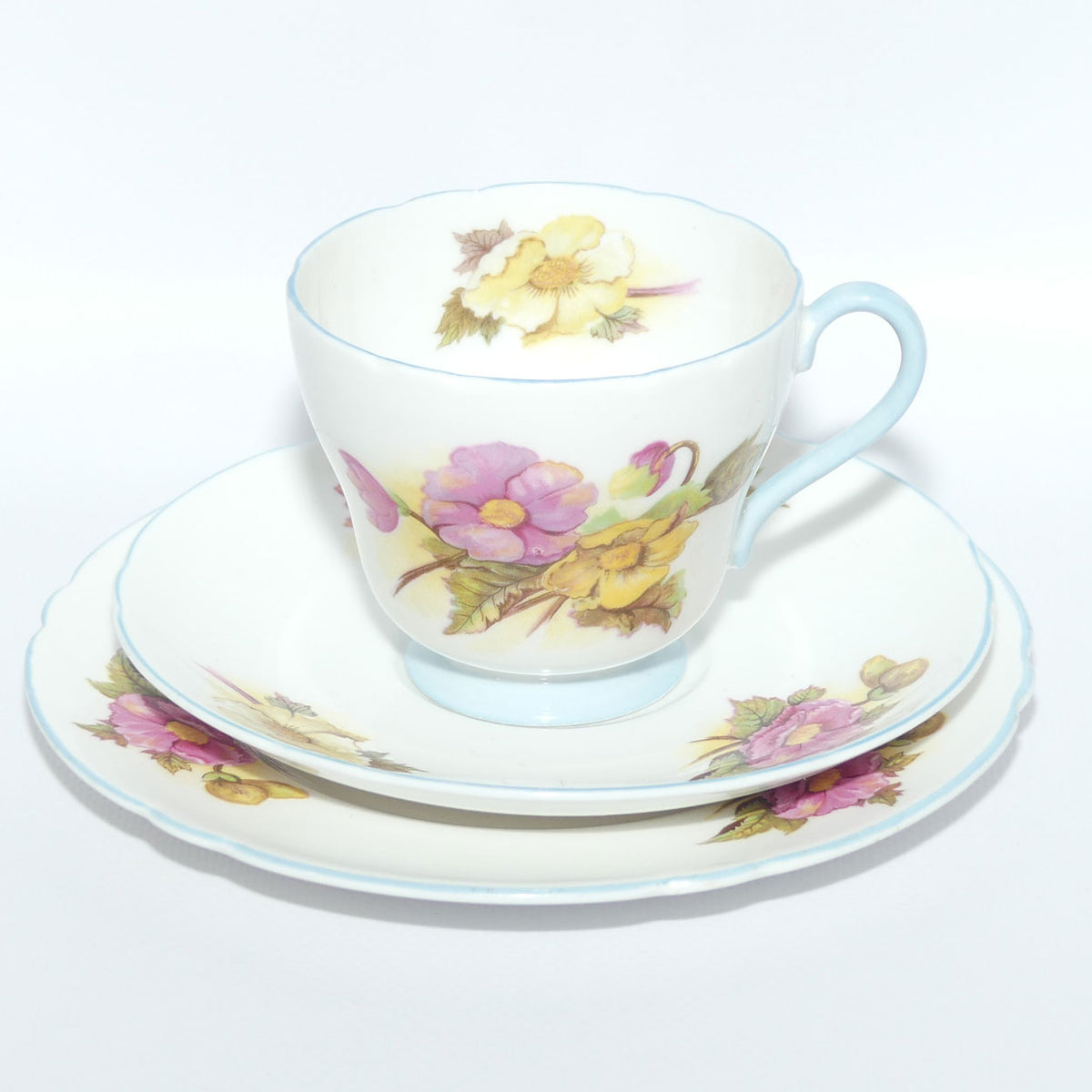 Shelley Richmond Shape Begonia pattern trio