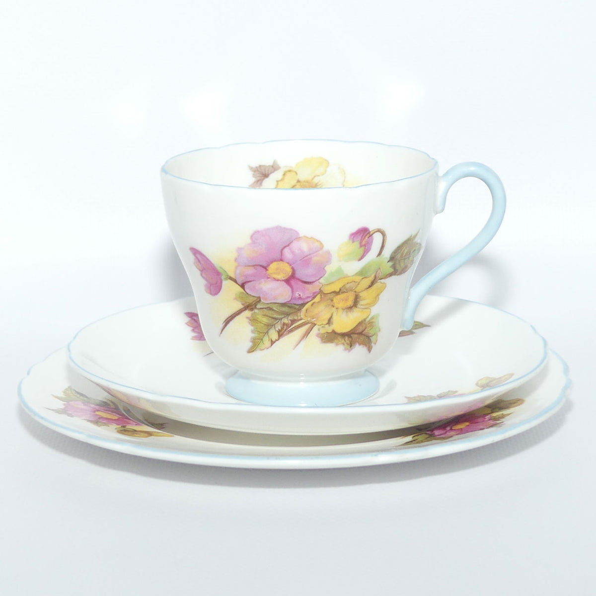 Shelley Richmond Shape Begonia pattern trio