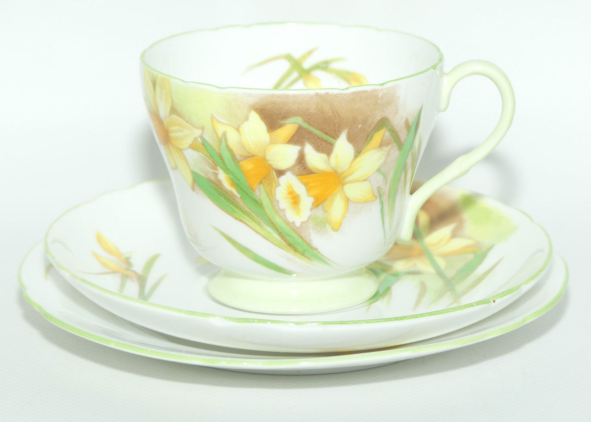 Shelley Richmond shape Jonquil trio #13670