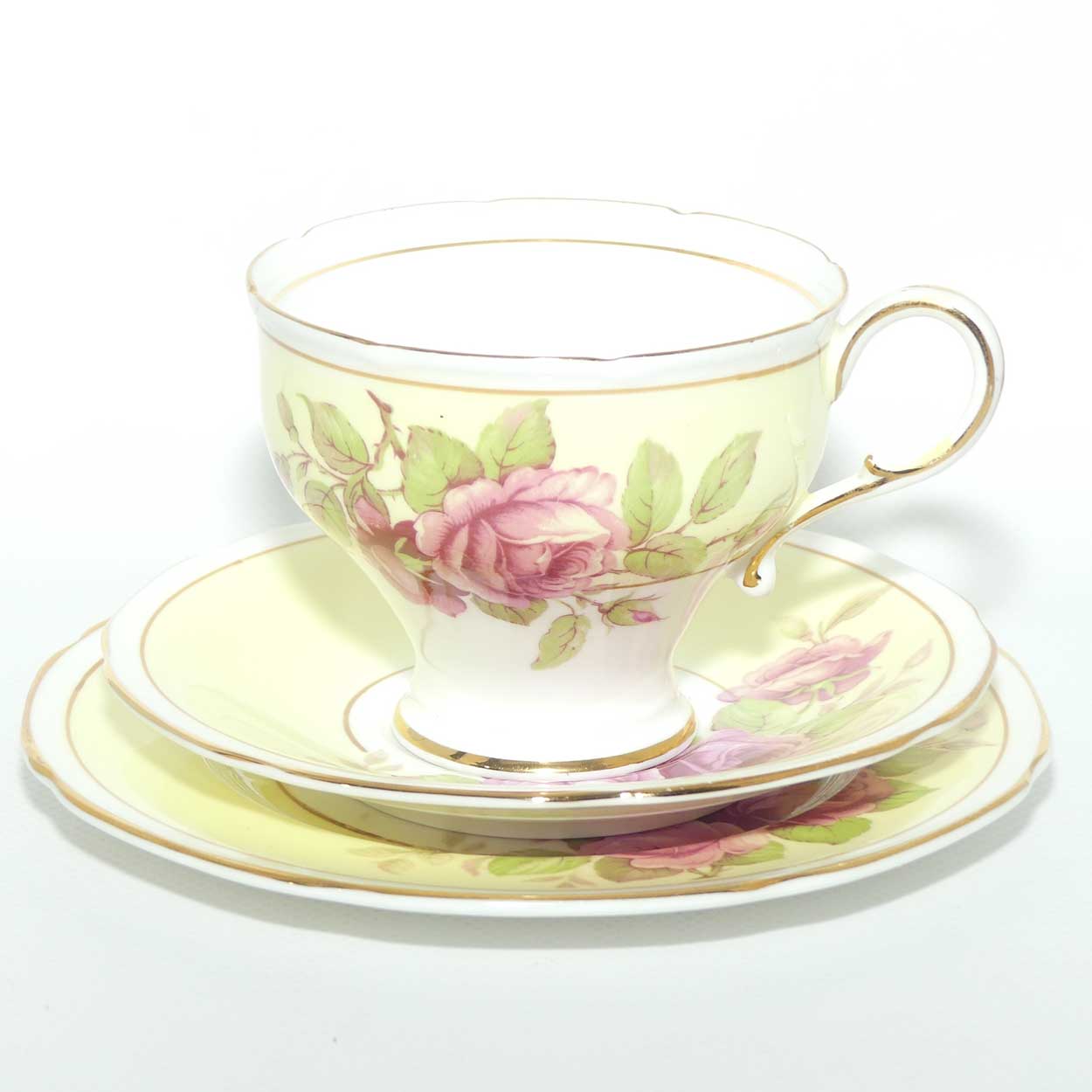Paragon Bone China fine tea trio | Pink Roses and Yellow Ground