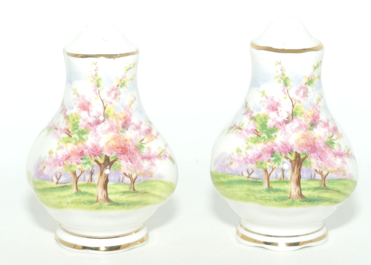 Royal Albert England Blossom Time salt and pepper