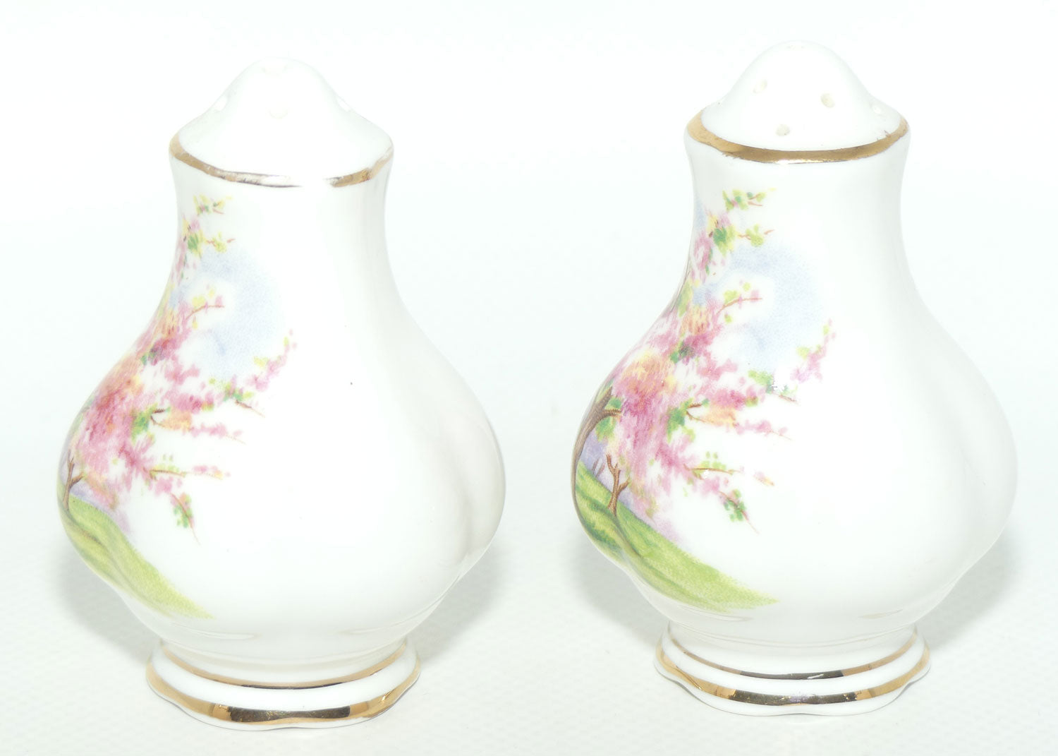 Royal Albert England Blossom Time salt and pepper