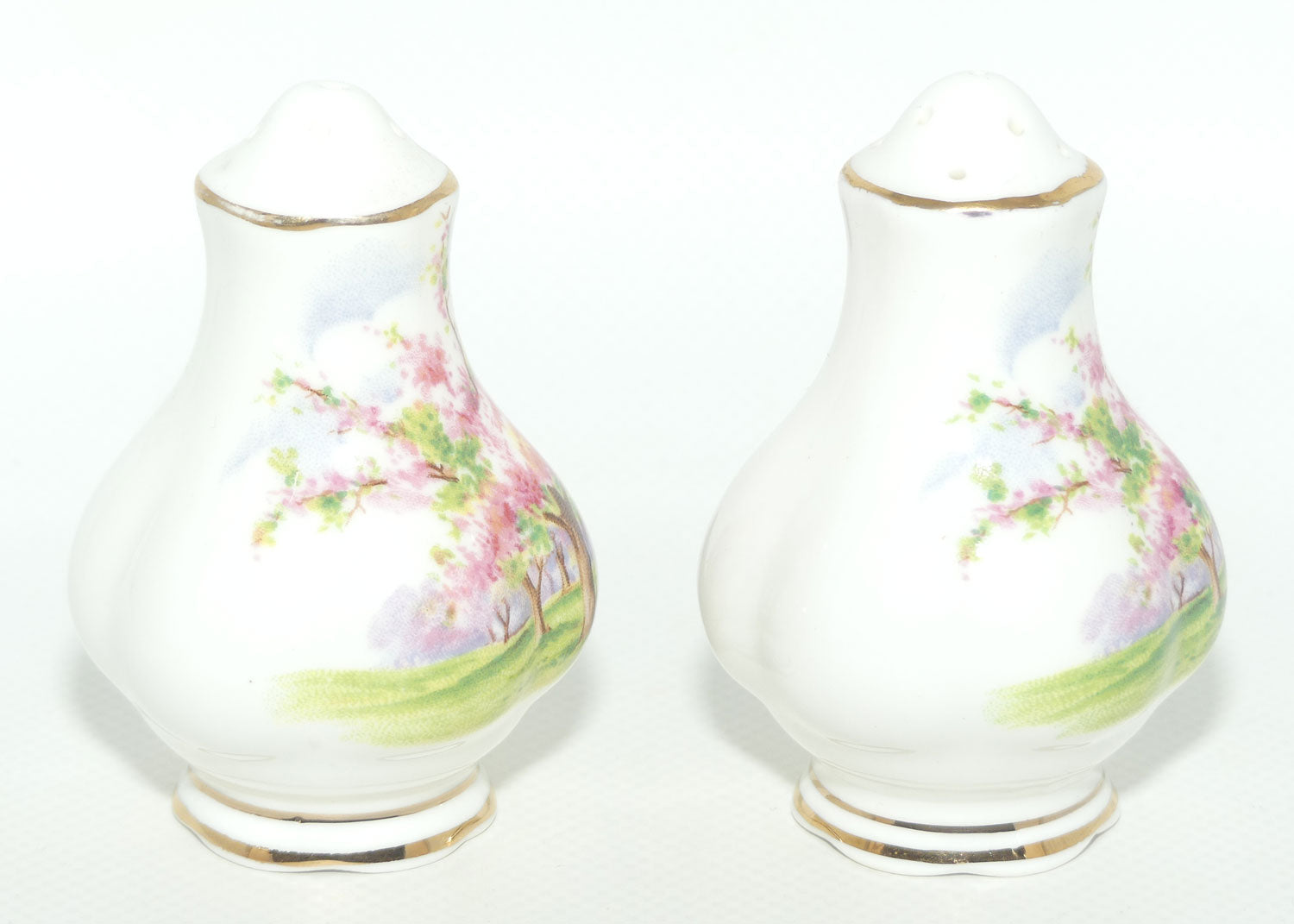 Royal Albert England Blossom Time salt and pepper