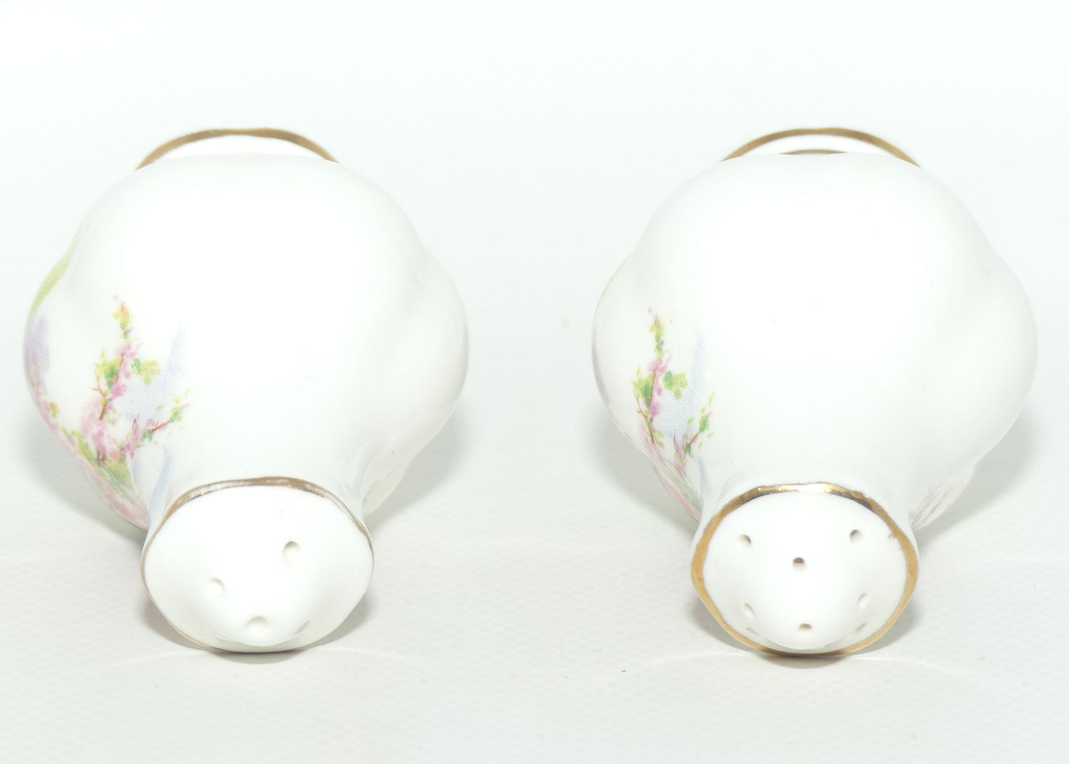 Royal Albert England Blossom Time salt and pepper