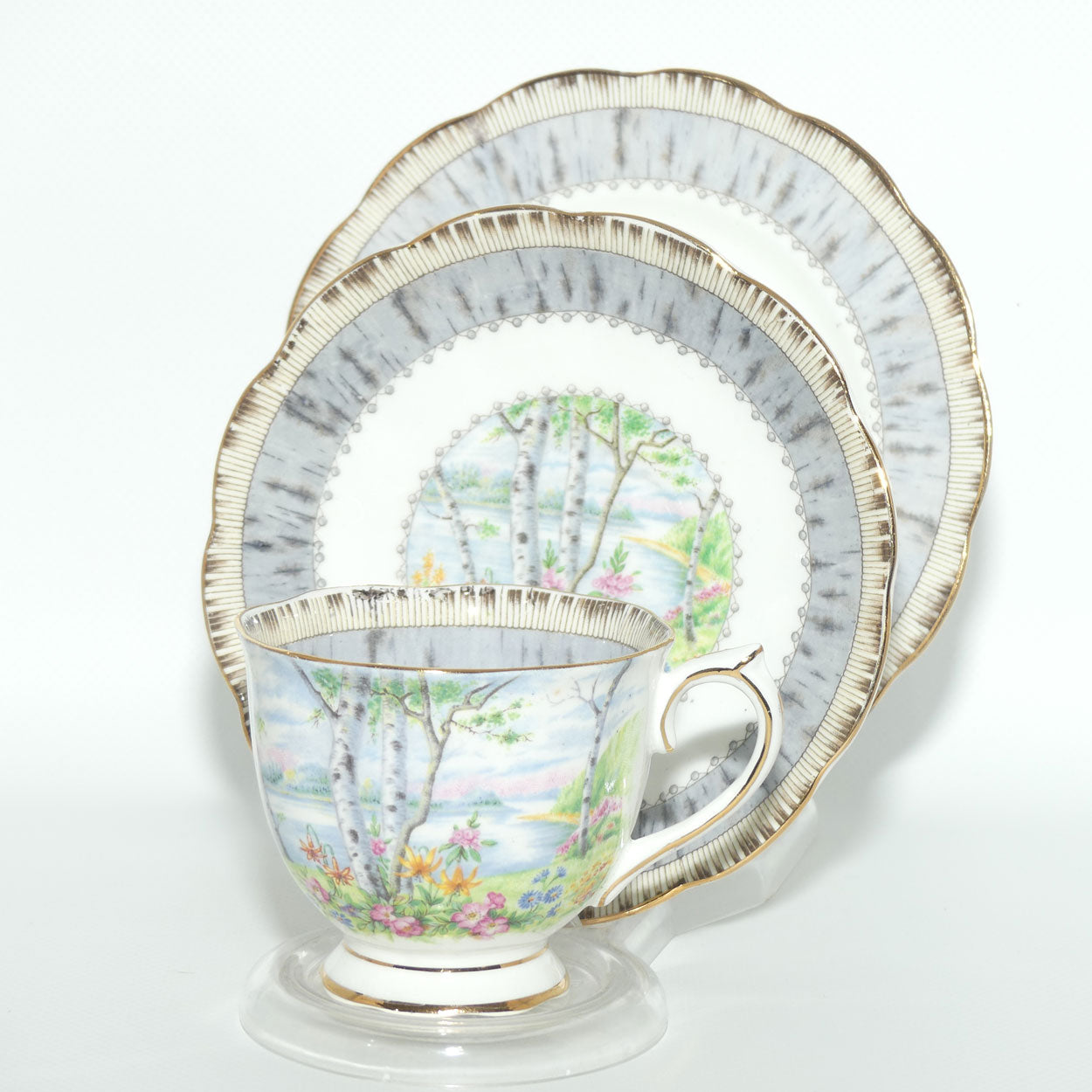 Royal Albert Bone China Silver Birch trio