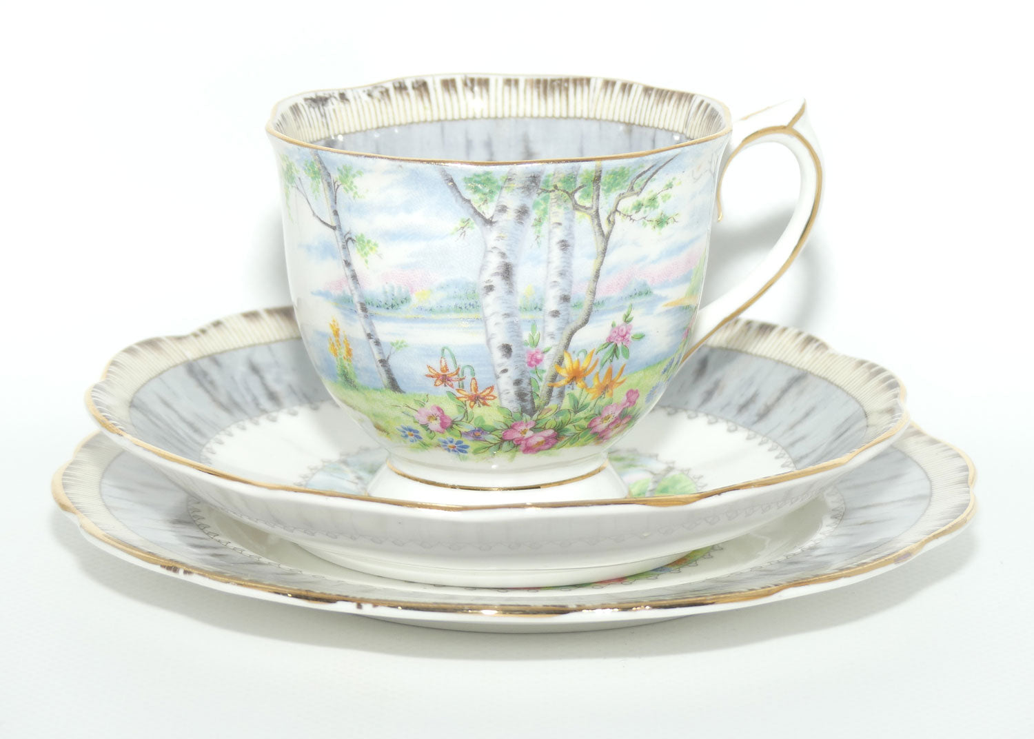Royal Albert Bone China Silver Birch trio