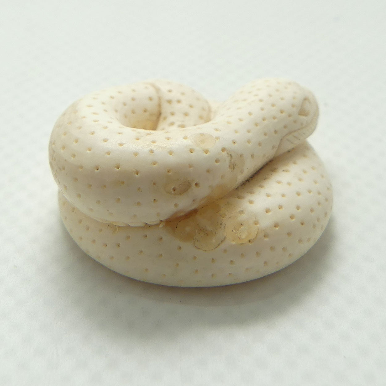 Japanese Carved Ivory miniature Okimono | Snake Curled