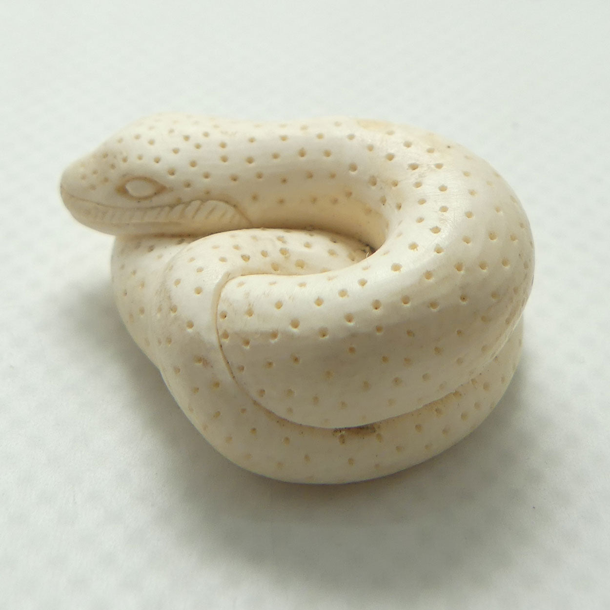Japanese Carved Ivory miniature Okimono | Snake Curled