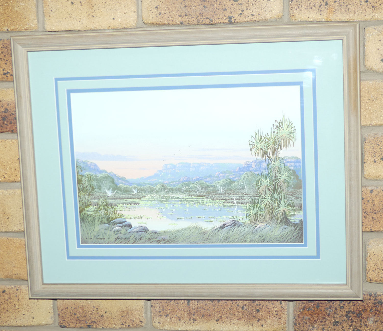 Original Watercolour and Goauche | Framed | Memory that Lingers Kakadu | Peter Snelgar 91