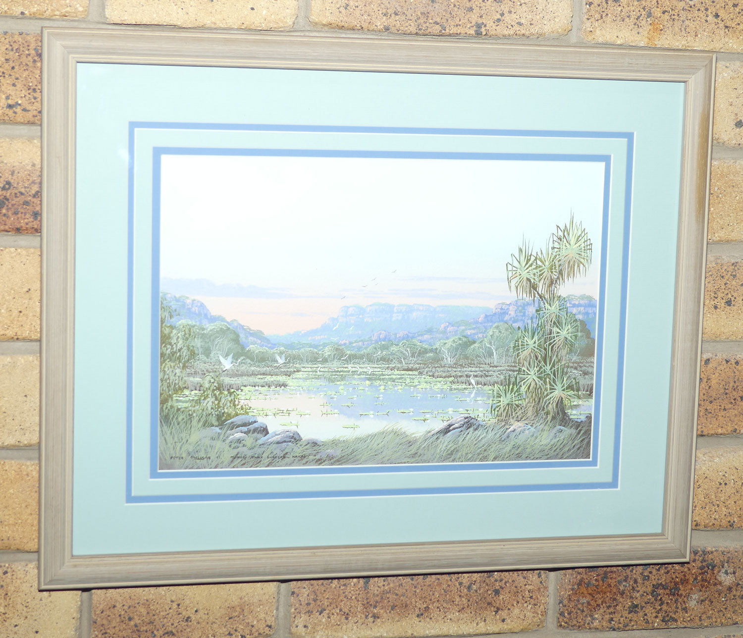 Original Watercolour and Goauche | Framed | Memory that Lingers Kakadu | Peter Snelgar 91