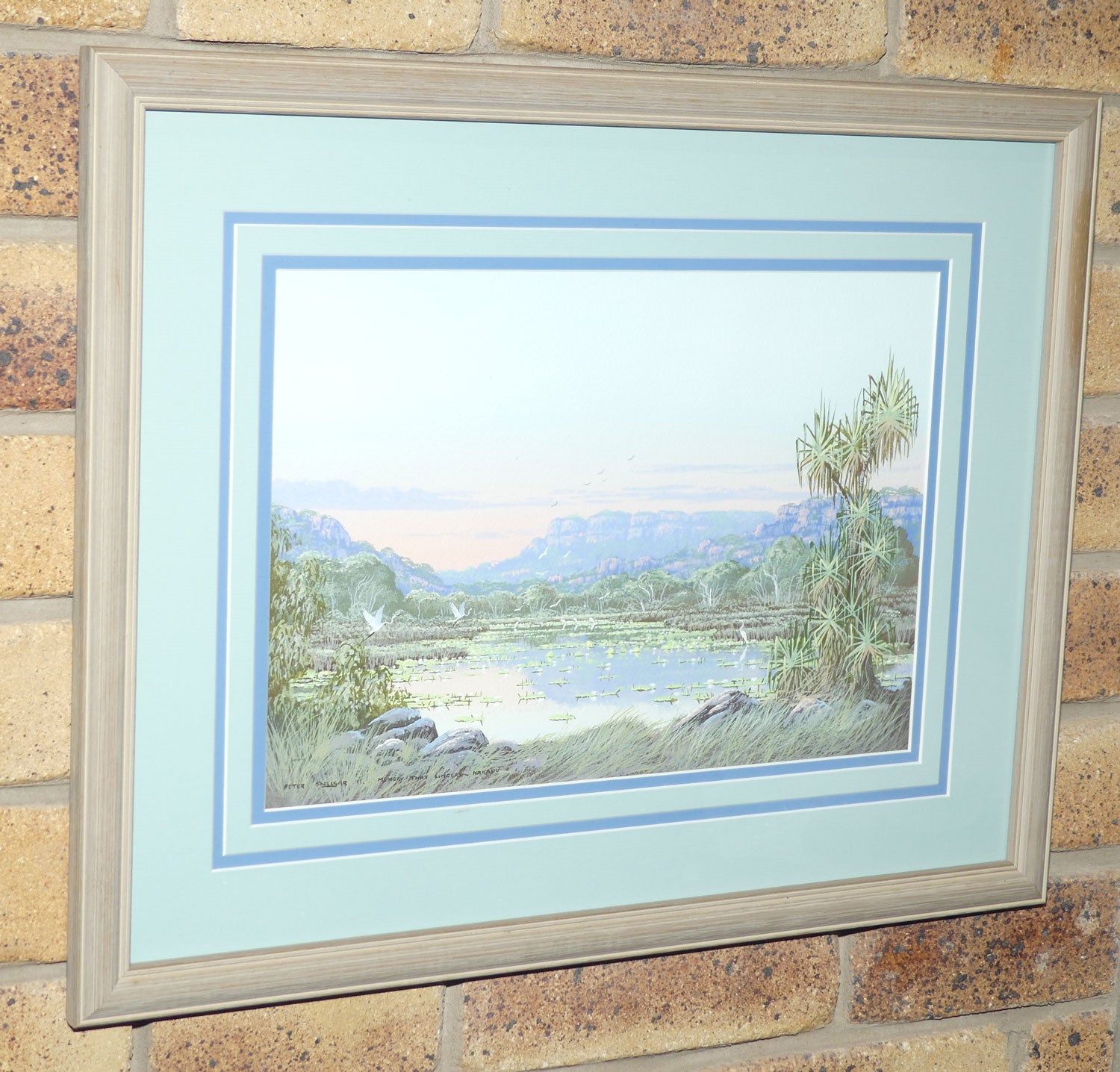 Original Watercolour and Goauche | Framed | Memory that Lingers Kakadu | Peter Snelgar 91