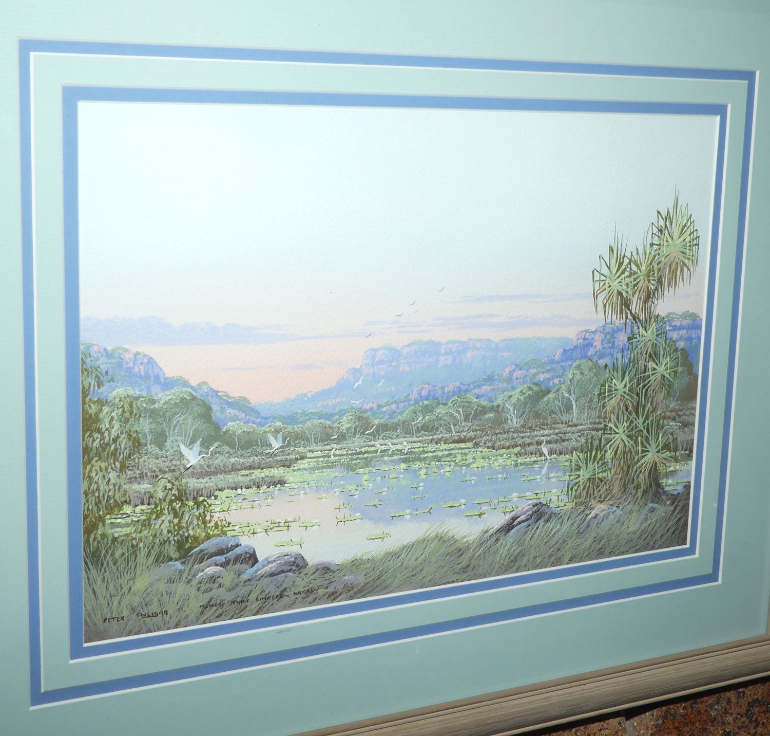 Original Watercolour and Goauche | Framed | Memory that Lingers Kakadu | Peter Snelgar 91