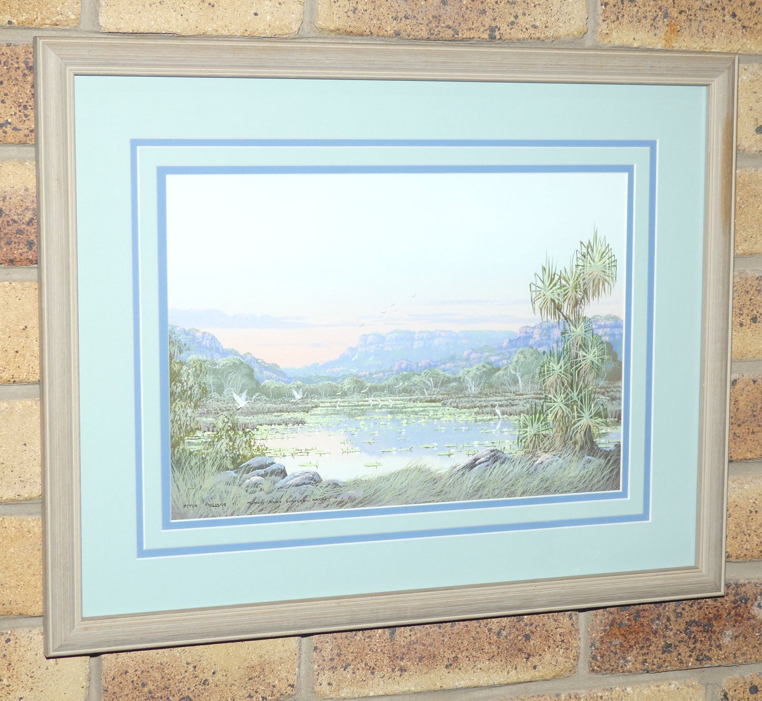 Original Watercolour and Goauche | Framed | Memory that Lingers Kakadu | Peter Snelgar 91