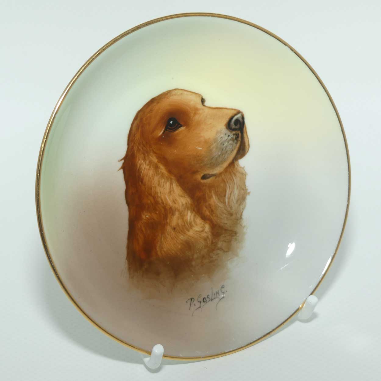 Minton England hand painted dish depicting Cocker Spaniel signed P Gosling