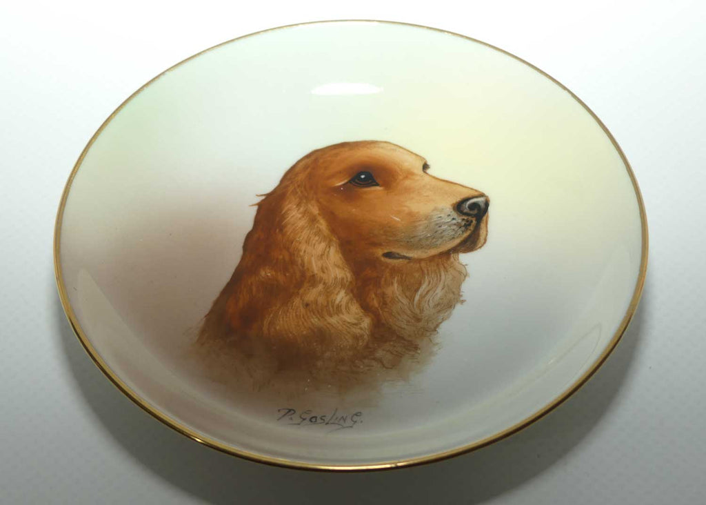 Minton England hand painted dish depicting Cocker Spaniel signed P Gosling