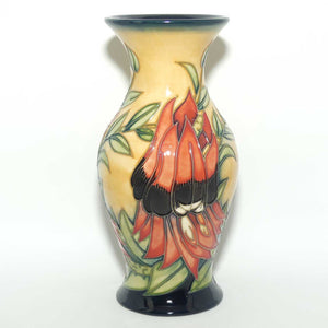 Moorcroft Sturt Desert Pea 226/7 vase | LE 229/500