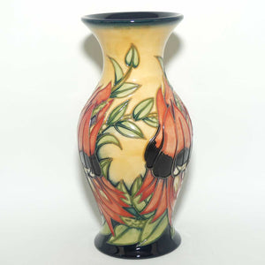 Moorcroft Sturt Desert Pea 226/7 vase | LE 229/500