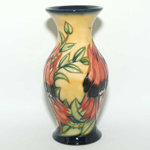 Moorcroft Sturt Desert Pea 226/7 vase | LE 229/500