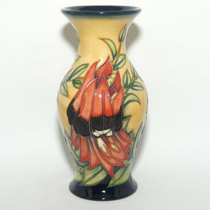 Moorcroft Sturt Desert Pea 226/7 vase | LE 229/500