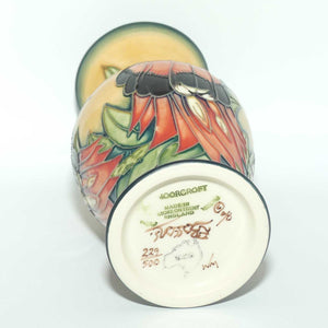 Moorcroft Sturt Desert Pea 226/7 vase | LE 229/500