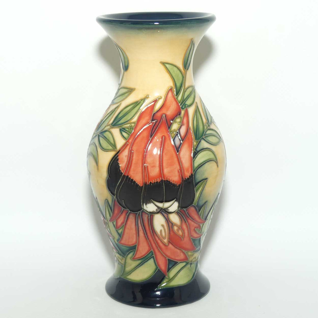 Moorcroft Sturt Desert Pea 226/7 vase | LE 75/500