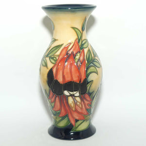 Moorcroft Sturt Desert Pea 226/7 vase | LE 75/500