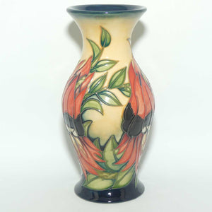 Moorcroft Sturt Desert Pea 226/7 vase | LE 75/500