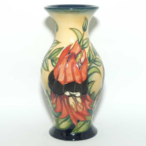 Moorcroft Sturt Desert Pea 226/7 vase | LE 75/500