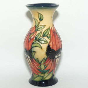 Moorcroft Sturt Desert Pea 226/7 vase | LE 75/500