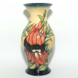 Moorcroft Sturt Desert Pea 226/7 vase | LE 75/500