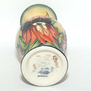 Moorcroft Sturt Desert Pea 226/7 vase | LE 75/500