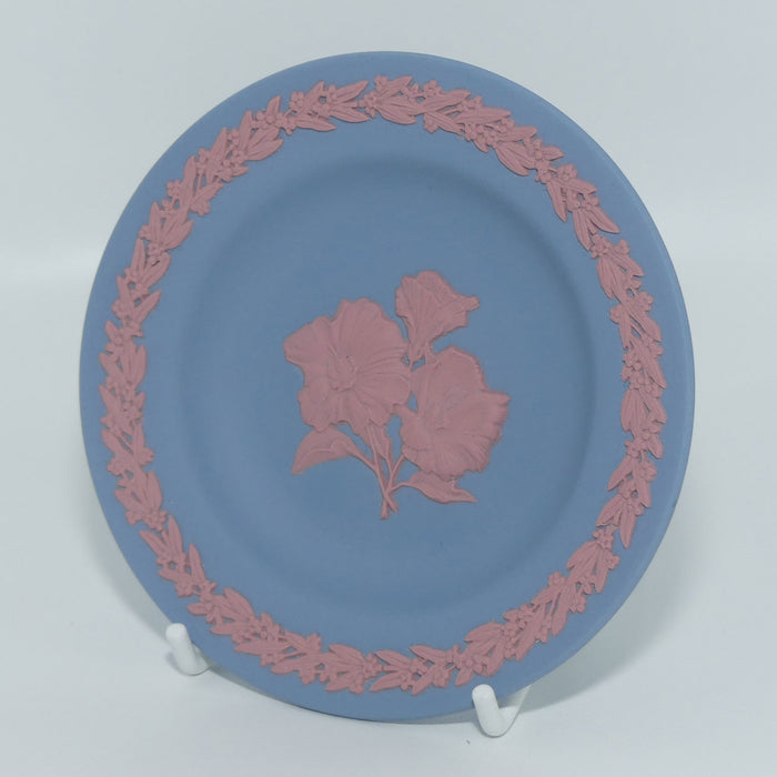 Wedgwood Jasper | Australian Native Flowers | Sturt Desert Rose miniature plate | Boxed | #3