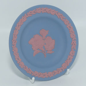 Wedgwood Jasper | Australian Native Flowers | Sturt Desert Rose miniature plate | Boxed | #3