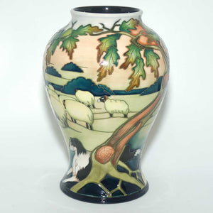 Moorcroft Swaledale Autumn 65/9 vase