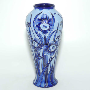 Moorcroft Tazetta 122/8 vase (Ltd Ed)